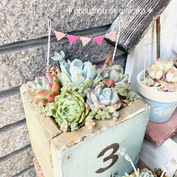 6475cda955b84c68ee594ad58b4885