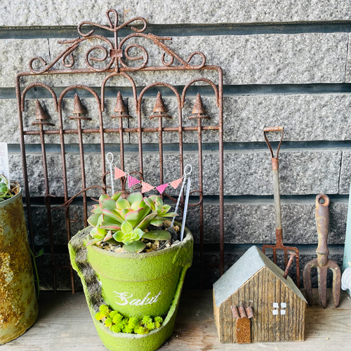 ビーズガーランド ピンク ガーデンピック 多肉植物の寄せ植えに