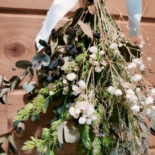 クリスマスリースやスワッグに！【天然檜/ヒノキ】花材/森林浴/ヒノキ