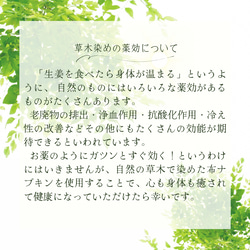  第11張的照片