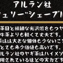 フランス産高級ヤギ革 ブラック ハギレ 2枚目の画像