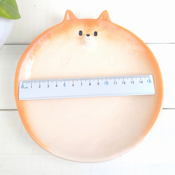 柴犬盤 17.5cm 第6張的照片