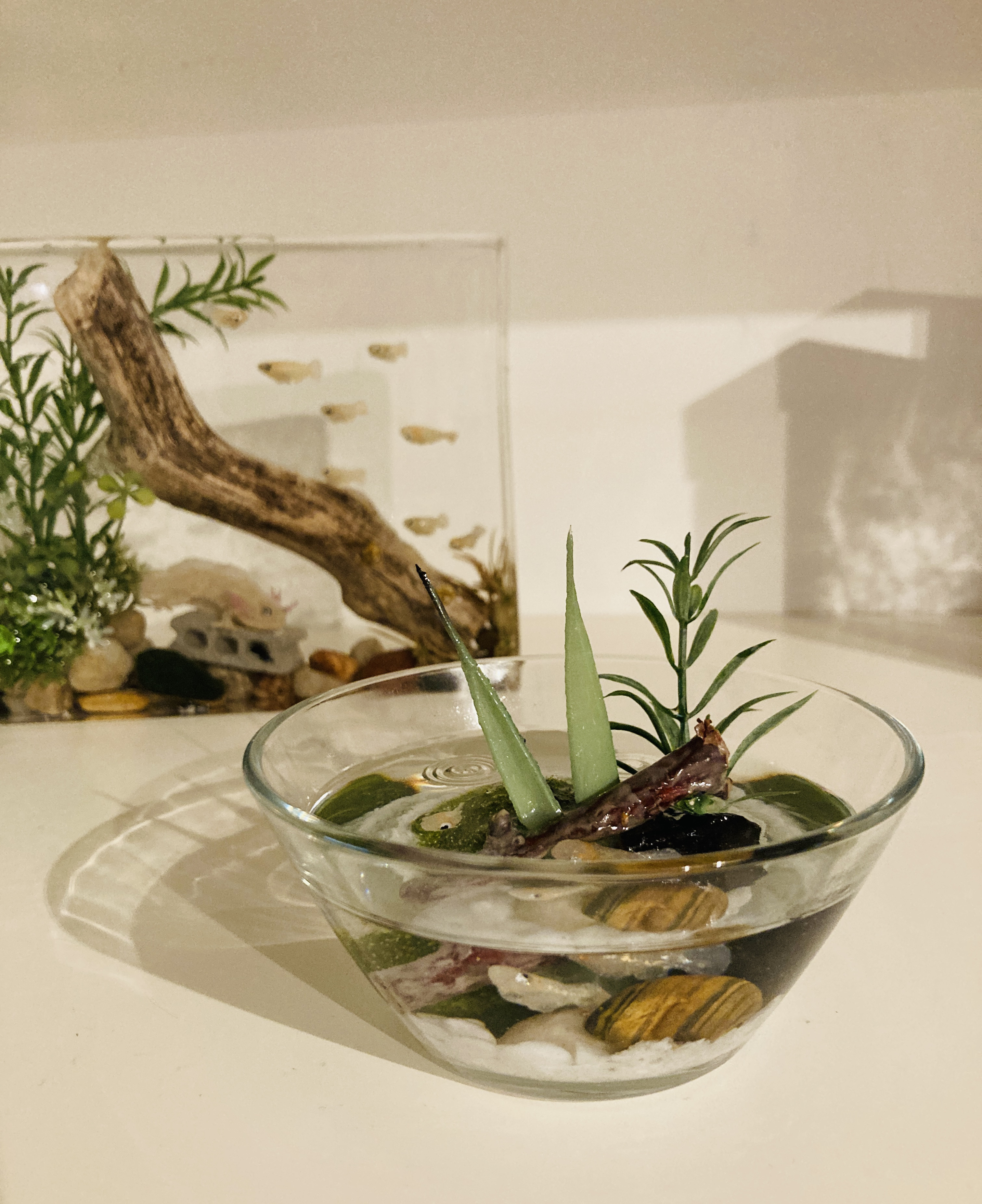 置物 BIOTOPE PLANT