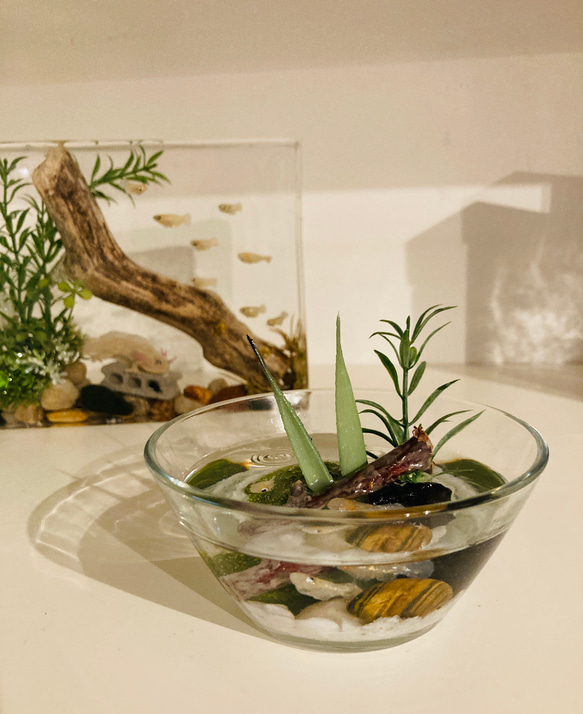 置物 PLANT BIOTOPE hqdefault.jpg