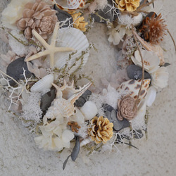 貝殼白色花環 第5張的照片