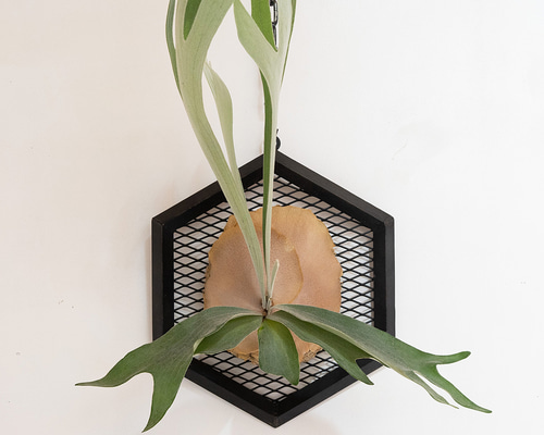 47581a398694c6681e33d6da63235b