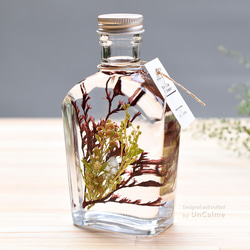 ◆ハーバリウム　278 クリスマスいっぱいのbottle *.:。✿*゜¨ リラックス・ハーバリウム（ユーカリ＆黒すぐり） ハーバリウム