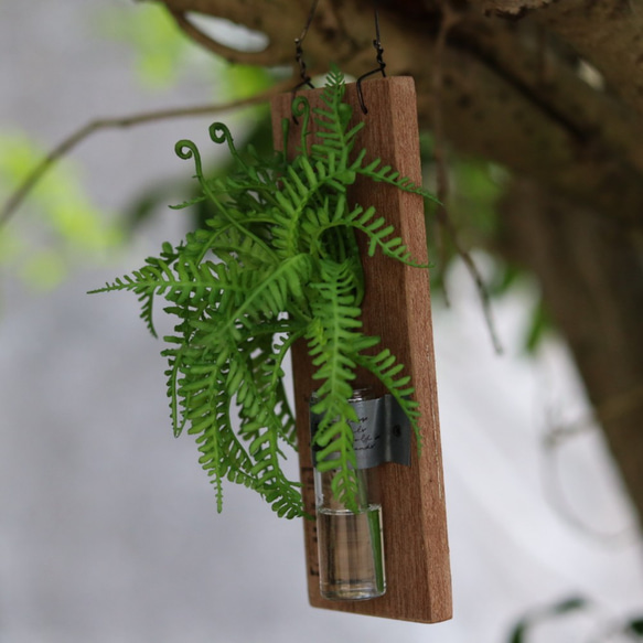 涼やかな♡植物標本風マジカルウォーターアレンジ 5枚目の画像