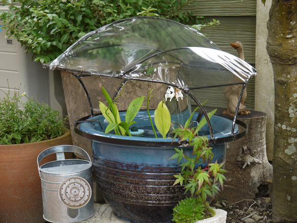 河童の付いた大鉢 河童の付いた大鉢