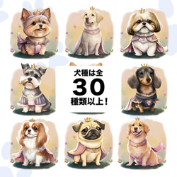 【 ロイヤル キャバリア 】 パステルカラー ハンカチ　2枚セット　犬　ペット　うちの子　プレゼント 8枚目の画像