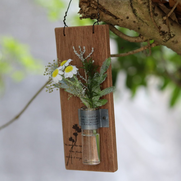 カモミール♡植物標本風マジカルウォーターアレンジ 5枚目の画像