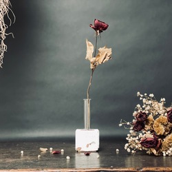 TYPE A07 『花の器』モルタル ドライフラワーでcafeの雰囲気