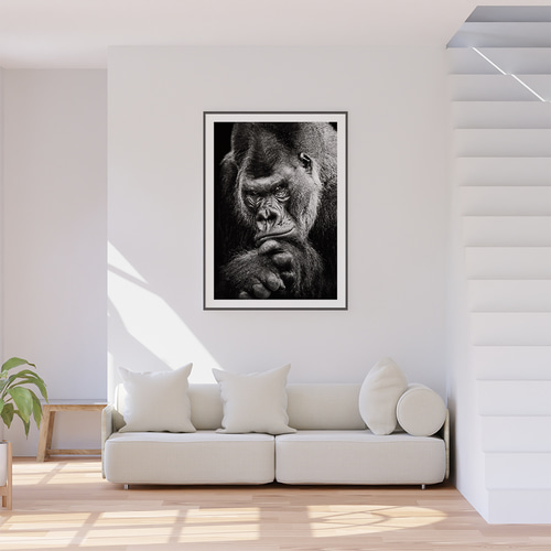 アートポスター モノクロ ゴリラ 野生動物 アート シックモダン 壁掛け