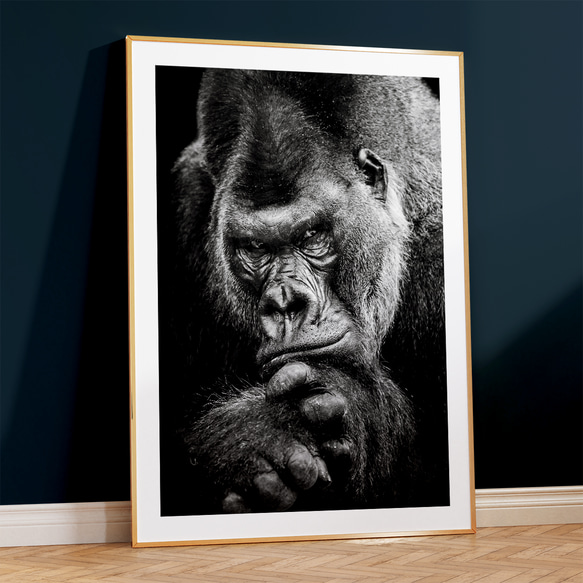 インパクト ゴリラ モノトーン lowland gorilla / インテリアポスター 海外アート / 4925 3枚目の画像