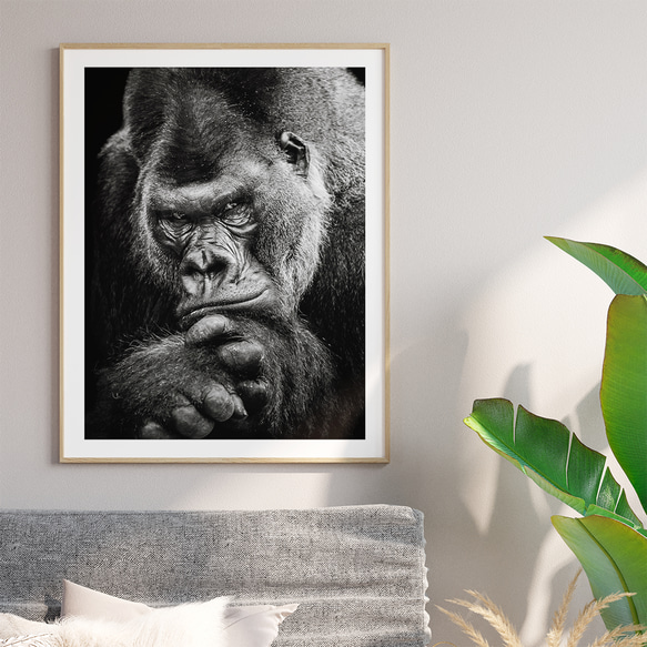 インパクト ゴリラ モノトーン lowland gorilla / インテリアポスター 海外アート / 4925 6枚目の画像