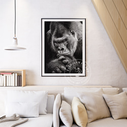 インパクト ゴリラ モノトーン lowland gorilla / インテリアポスター 海外アート / 4925 1枚目の画像