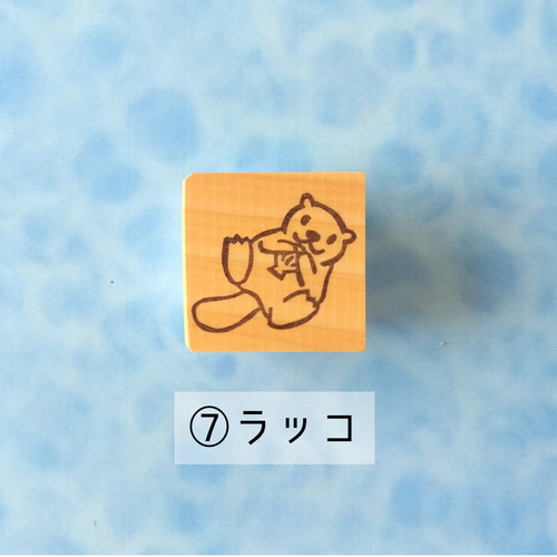 1つ選べる/水族館で人気の生き物 消しゴムはんこ はんこ・スタンプ