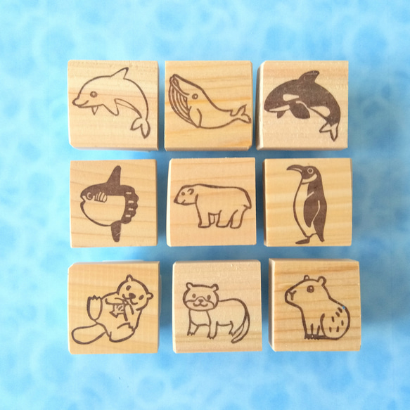 1つ選べる/水族館で人気の生き物 消しゴムはんこ はんこ・スタンプ