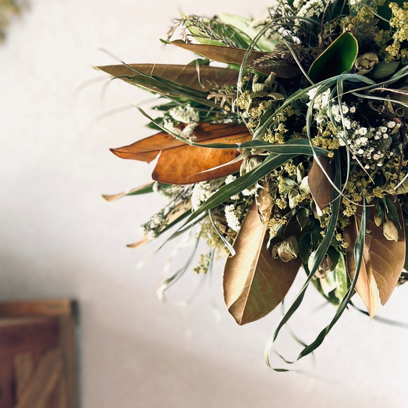 【ドライフラワー吊り下げ】植物のある暮らし 緑を楽しむドライフラワー 5枚目の画像