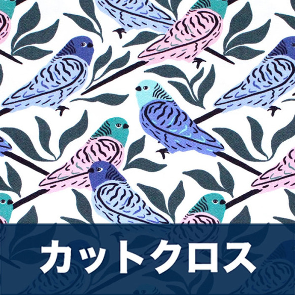 カットクロス Cloud9 Fabrics / Comforts of Home 227221 Parakeets 1枚目の画像