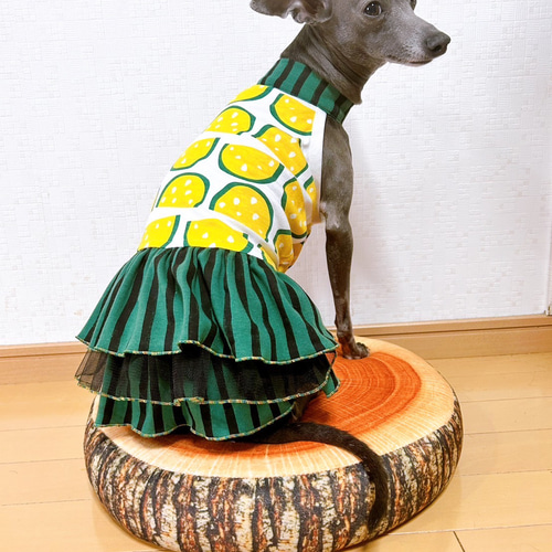 犬服⭐︎ハンドメイドフリルワンピース