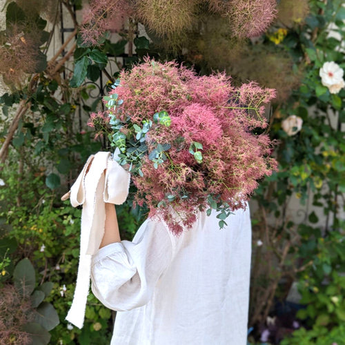 リース　スモークツリー　スワッグ　ブーケ　リースブーケ　ドライフラワー 予約販売】【早割】レッドのスモークツリーとグリーンユーカリの