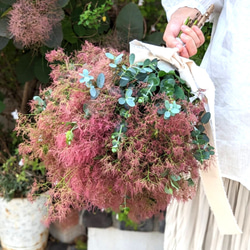 d044a3a1a62428e60e00b233c27d34