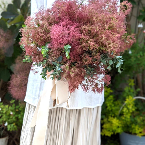 予約販売】【早割】レッドのスモークツリーとグリーンユーカリの