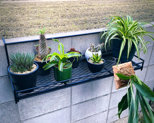 多肉植物棚　GAI-H70B Amazon.co.jp: 多肉植物棚 GAI-H70B : DIY・工具・ガーデン