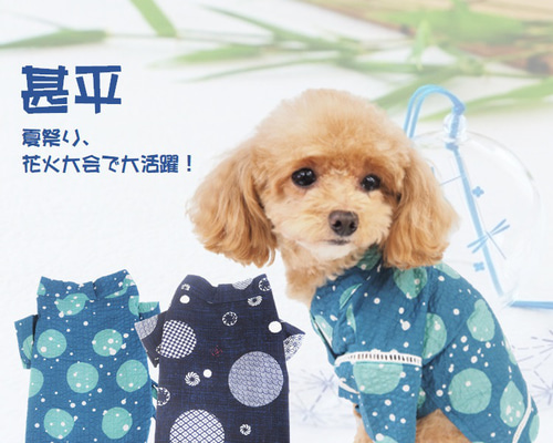 着物 きもの 和服 和装 和柄 極小犬 パピー 超小型犬 小型犬 犬