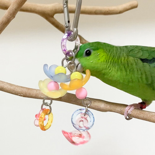 オーダー専用ページ　（インコ用ブランコ　カジカジおもちゃ　バードトイ） オーダー専用ページ （インコ用ブランコ カジカジおもちゃ