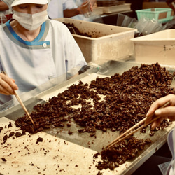 ごはんのおともに絶品ギフト（うな勢鰻しぐれ煮＆おかかしぐれ＆与八鰻しぐれ煮） 11枚目の画像