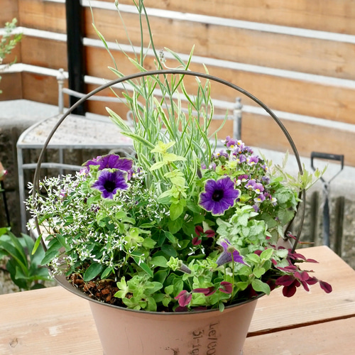 油絵　専用　ペチュニアが咲く寄せ植え　大キャンバス a9c3a8c955b856375262ea0694a120