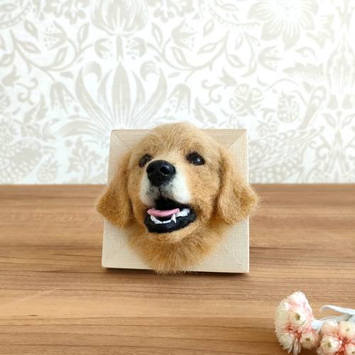 羊毛フェルト ゴールデンレトリバーさんフレーム 羊毛フェルト 羊毛