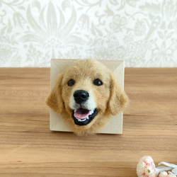 羊毛フェルト ゴールデンレトリバーさんフレーム 羊毛フェルト 羊毛