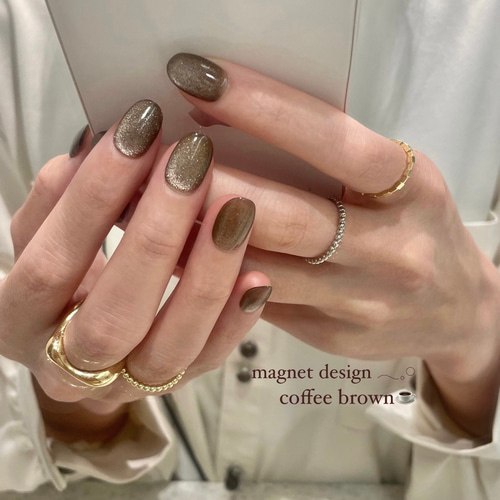 ネイルチップ マグネットネイル コーヒーブラウン ネイルチップ（つけ  