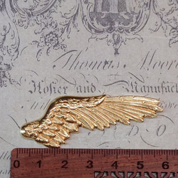 BEHOLD− 翼 右 1個 真鍮製 羽根 天使 ドイツ製 スタンピング ヴィンテージ風 5枚目の画像