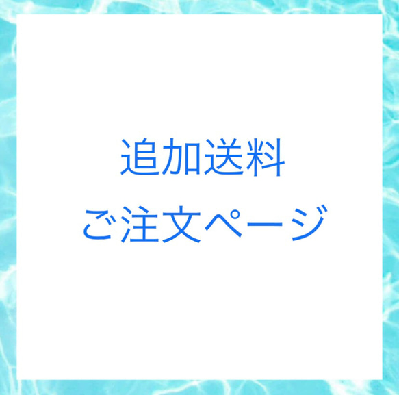 追加送料ご注文ページ 1枚目の画像