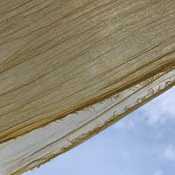そよ風ストール☀マリーゴールド染め　きれいイエロー　草木染　オーガニックコットンストール  Creema限定 11枚目の画像