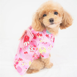 浴衣 ゆかた 和柄 和装 和服 夏祭り ドッグウェア 小型 犬 猫 ペット P690 P691 P692 P694 7枚目の画像