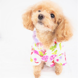 浴衣 ゆかた 和柄 和装 和服 夏祭り ドッグウェア 小型 犬 猫 ペット P690 P691 P692 P694 12枚目の画像