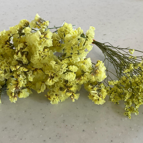 HBスターチスとスターチス2種類 黄色ドライフラワー ドライ