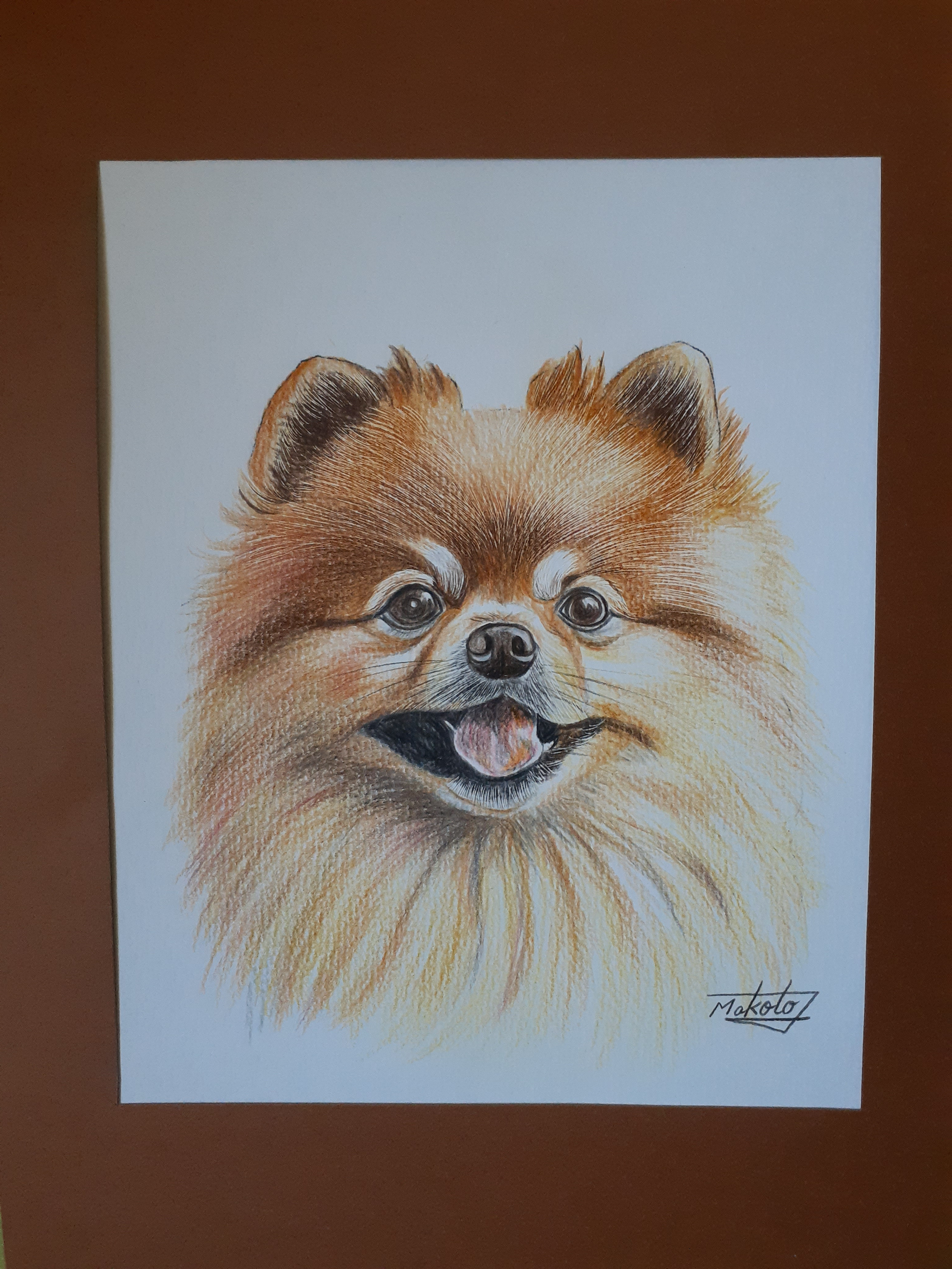 色鉛筆画 ポメラニアン 絵画 makochin 通販 15950593｜Creema