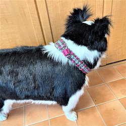 [公式]犬猫達の皮膚に優しい首輪＃184トリプルハート編み中型・大型犬首輪 8枚目の画像