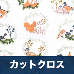 カットクロス Art Gallery Fabrics Lilliput Forest Friends 1枚目の画像