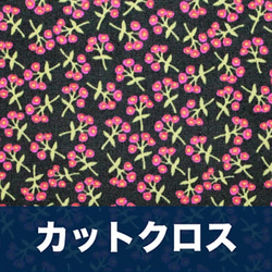 カットクロス Art Gallery Fabrics Open Heart Sweet Floret Cerise 1枚目の画像