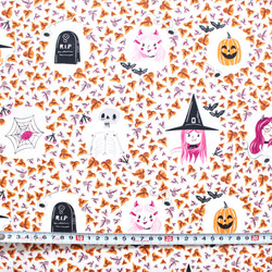 カットクロス Art Gallery Fabrics Spooky'n Sweeter Boo Crew 2枚目の画像