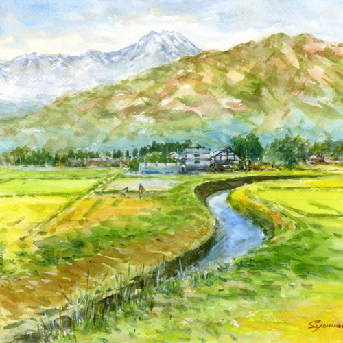 水彩画原画 常念岳と安曇野田園 ＃606 絵画 syoumei 通販