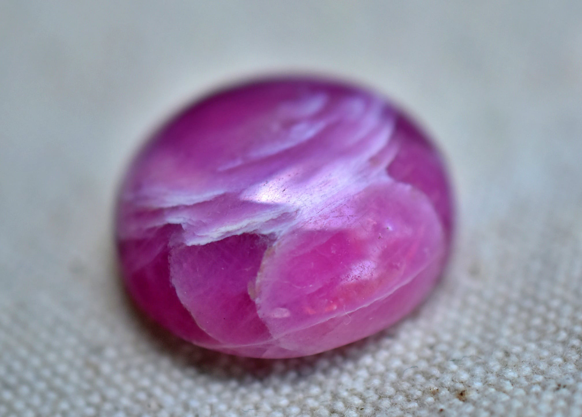 花びら模様★ローズルビーs832