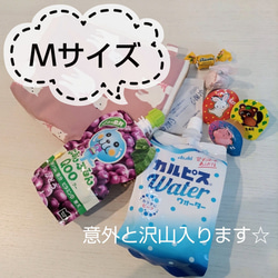 【送料無料】3サイズから選べる洗える保冷保温ポーチ アイスリング対応 6枚目の画像